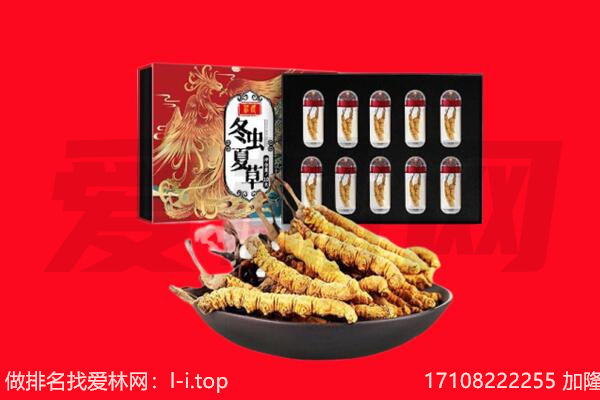齐齐哈尔富拉尔基回收虫草.jpg